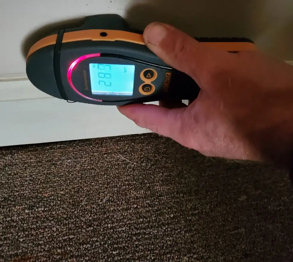 Moisture detection at baseboard during Burst Pipe Cleanup in Epsom